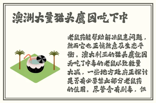 聚会的目的在线高清免费观看